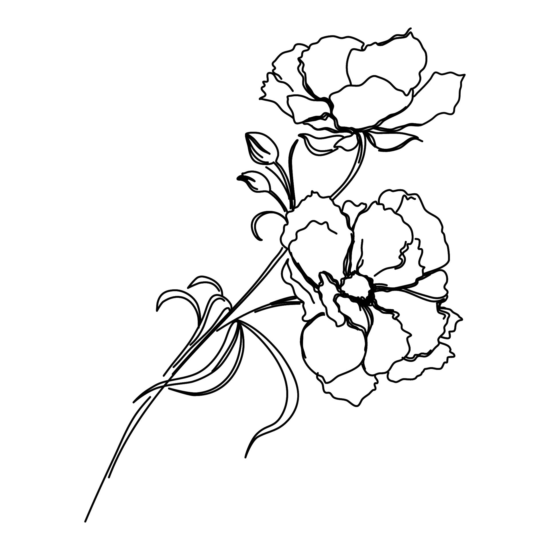 ilustraciones de adobe illustrator. dibujo de una línea de flores