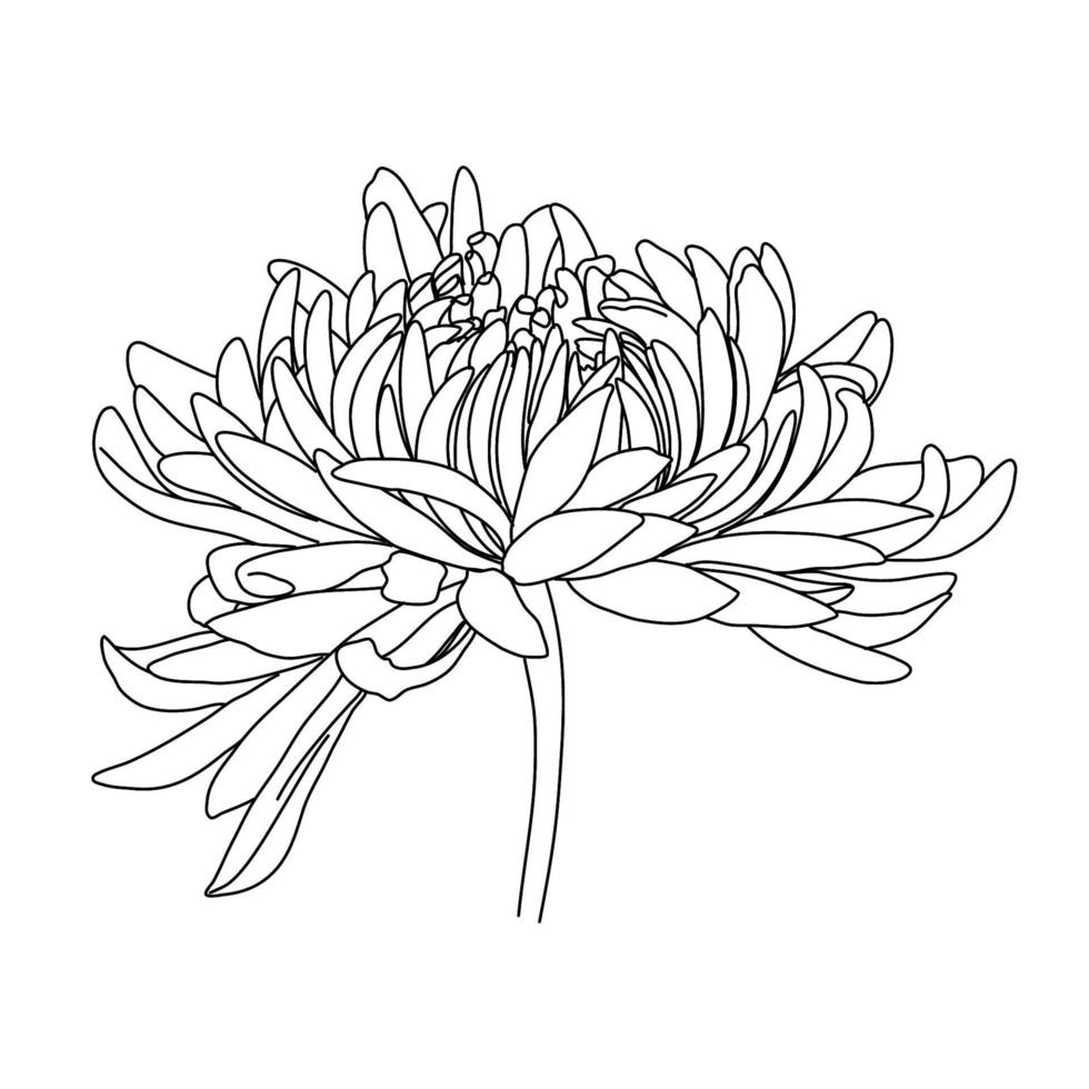 Adobe Illustrator Artwork. Flower One Line Drawing. Continuous Line of Simple Flower Illustration. Abstract contemporary Botanical Design Template for Minimalist Covers, t-Shirt Print. vector