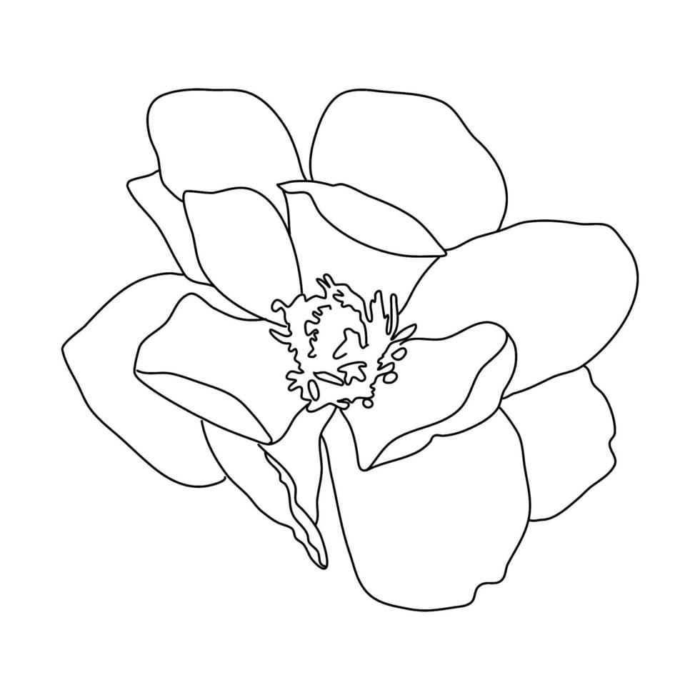 ilustraciones de adobe illustrator. dibujo de una línea de flores. línea continua de ilustración de flor simple. plantilla de diseño botánico contemporáneo abstracto para portadas minimalistas, estampado de camisetas, banner, portada. vector