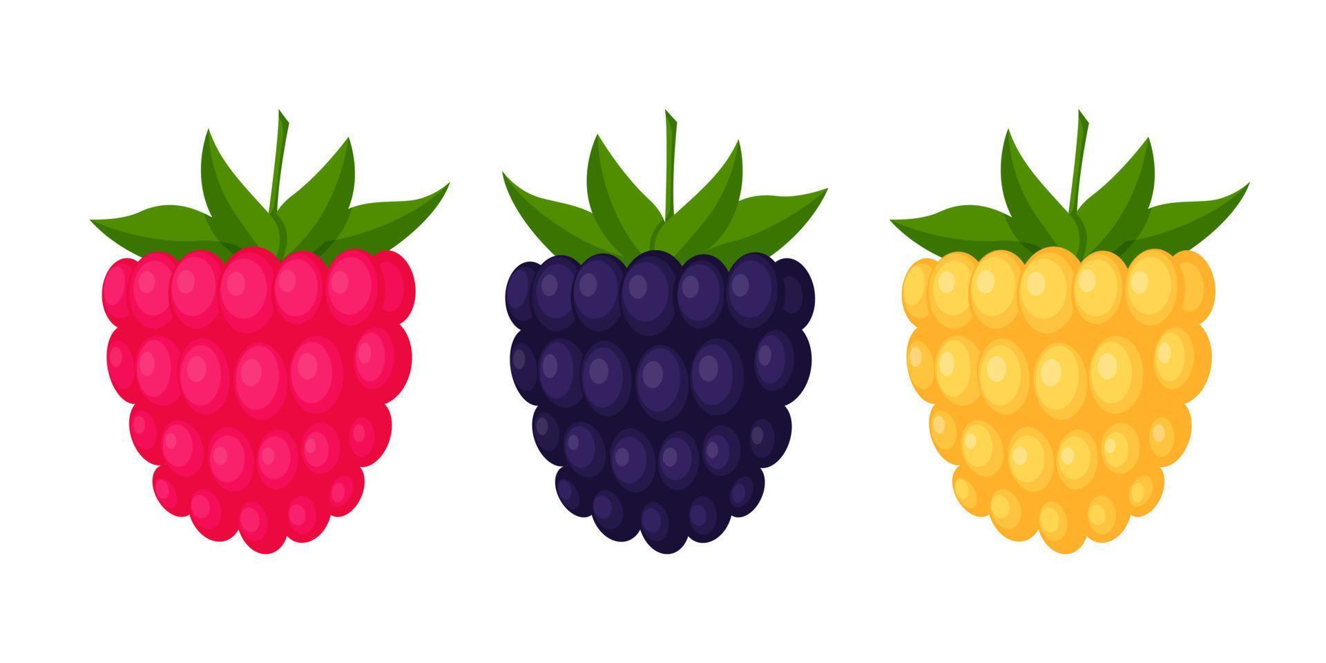 moras, frambuesas y moras. bayas con hojas, elementos de diseño en un estilo plano. ilustración vectorial de color, aislada en un fondo blanco vector