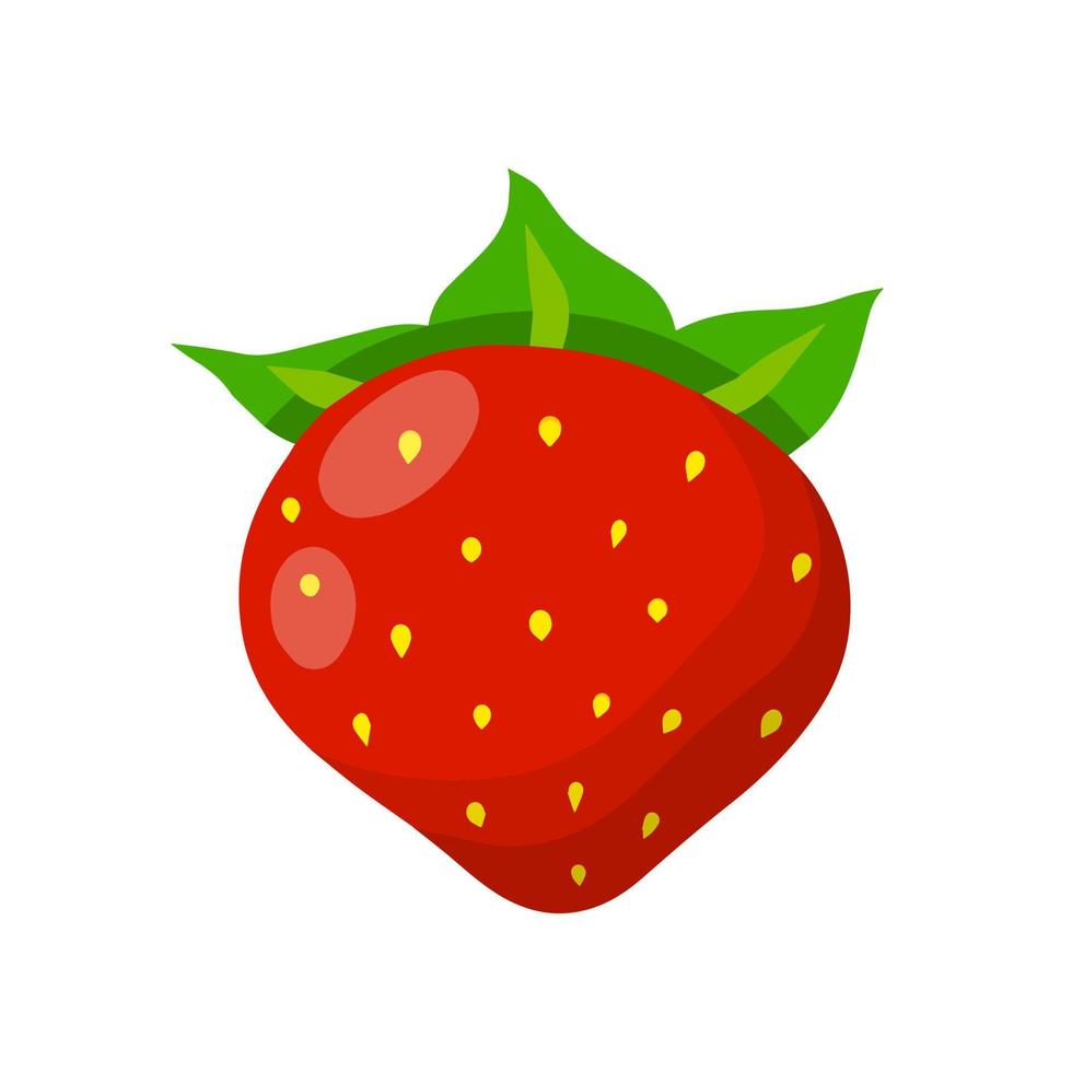 Strawberry. Red sweet berry. Dessert and natural food. Small fruit. Flat cartoon illustration isolated on white vector