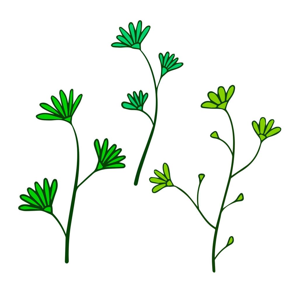 Natural plant. Abstract doodle flower. Sketch green Stem with leaves vector