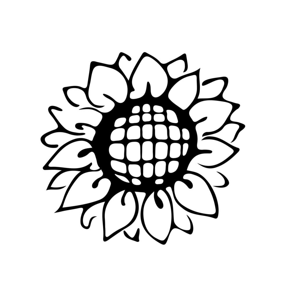 Outline sunflower. Black hand drawn doodle sketch. Black vector illustration isolated on white. Line art.