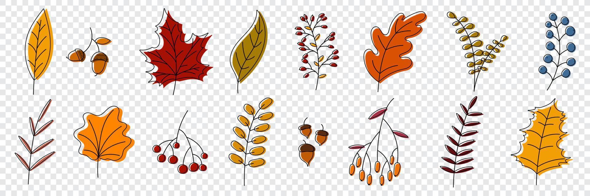 colección de otoño dibujada a mano con plantas y hojas de temporada. conjunto de plantas dibujadas a mano, hojas, flores. colorido de elementos naturales para fondos estacionales. ilustración vectorial vector