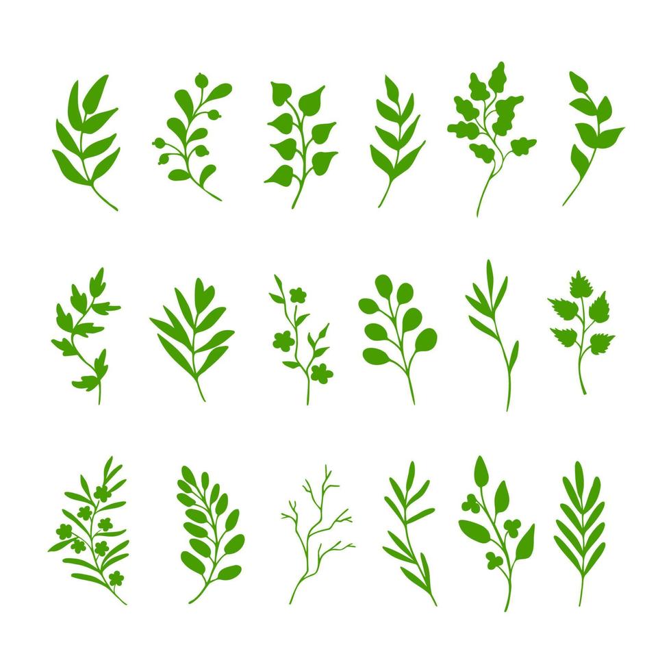 Leaves, herbs, twigs, green silhouettes on white background. Hand drawn design. Eco, bio springtime symbols. Collection of clip art elements vector