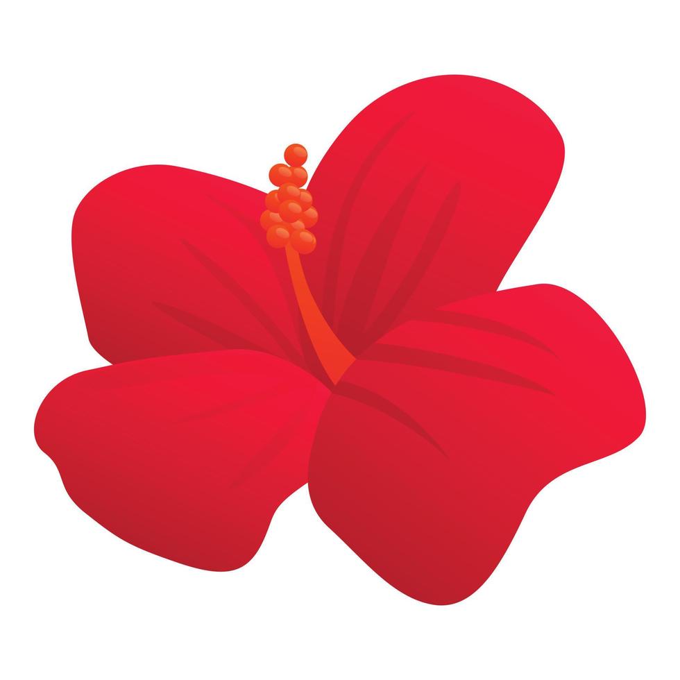 Aroma hibiscus icon, cartoon style vector