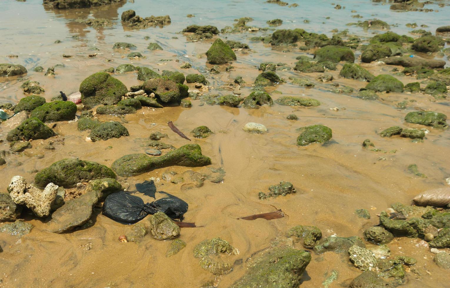 pebbles and shells on the sand by the beach photo