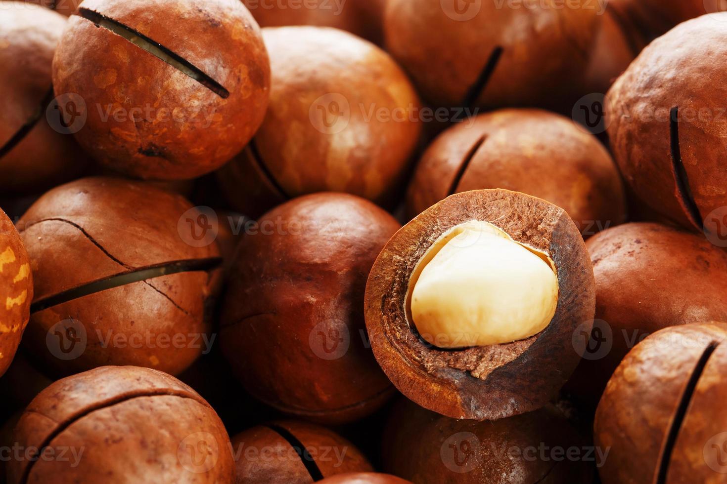 Texture of organic macadamia nut fresh natural fruit shelled one nut in full frame close-up view photo