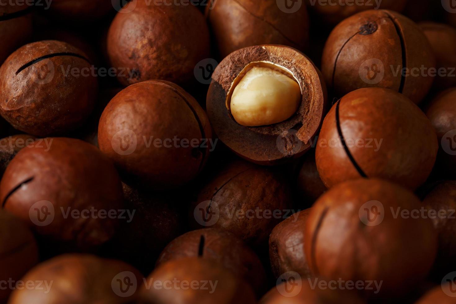 Texture of organic macadamia nut fresh natural fruit shelled one nut in full frame close-up view photo