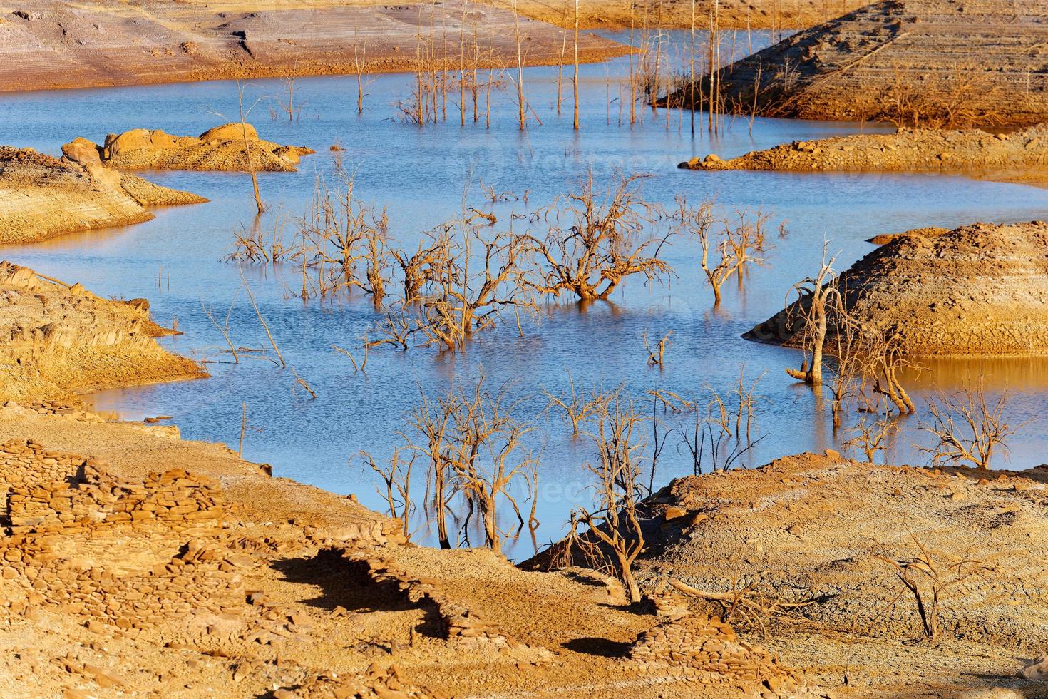 Low levels of water reservoir. Dry climate. Shortage of water. Dead trees. Climate change and global warming. Ecological disaster. Water and river pollution. Arid Climate. There is no planet B. photo