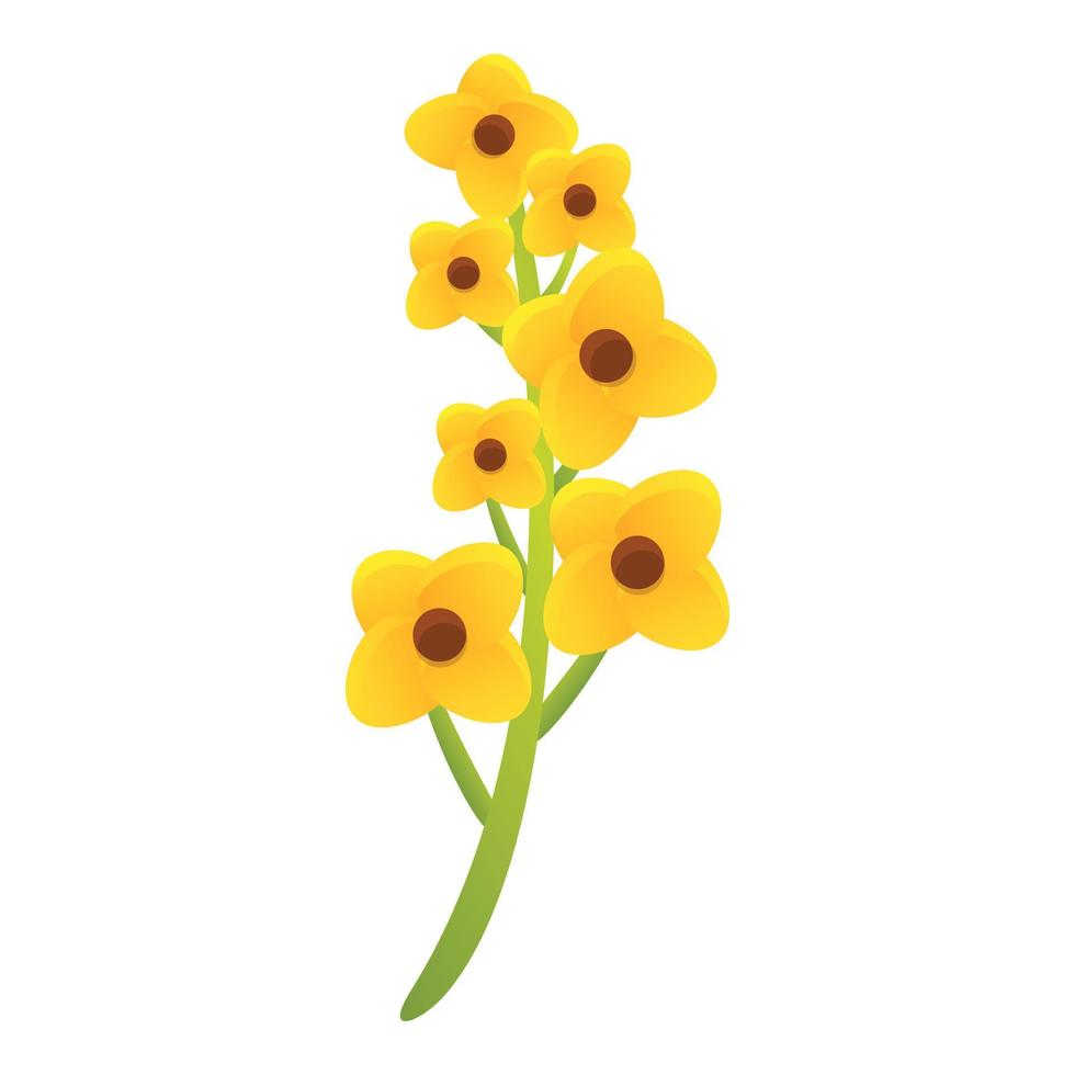 icono de planta ecológica de canola, estilo de dibujos animados vector