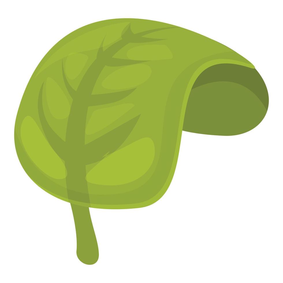 vector de dibujos animados de icono de especia de hoja verde. orégano de hierbas