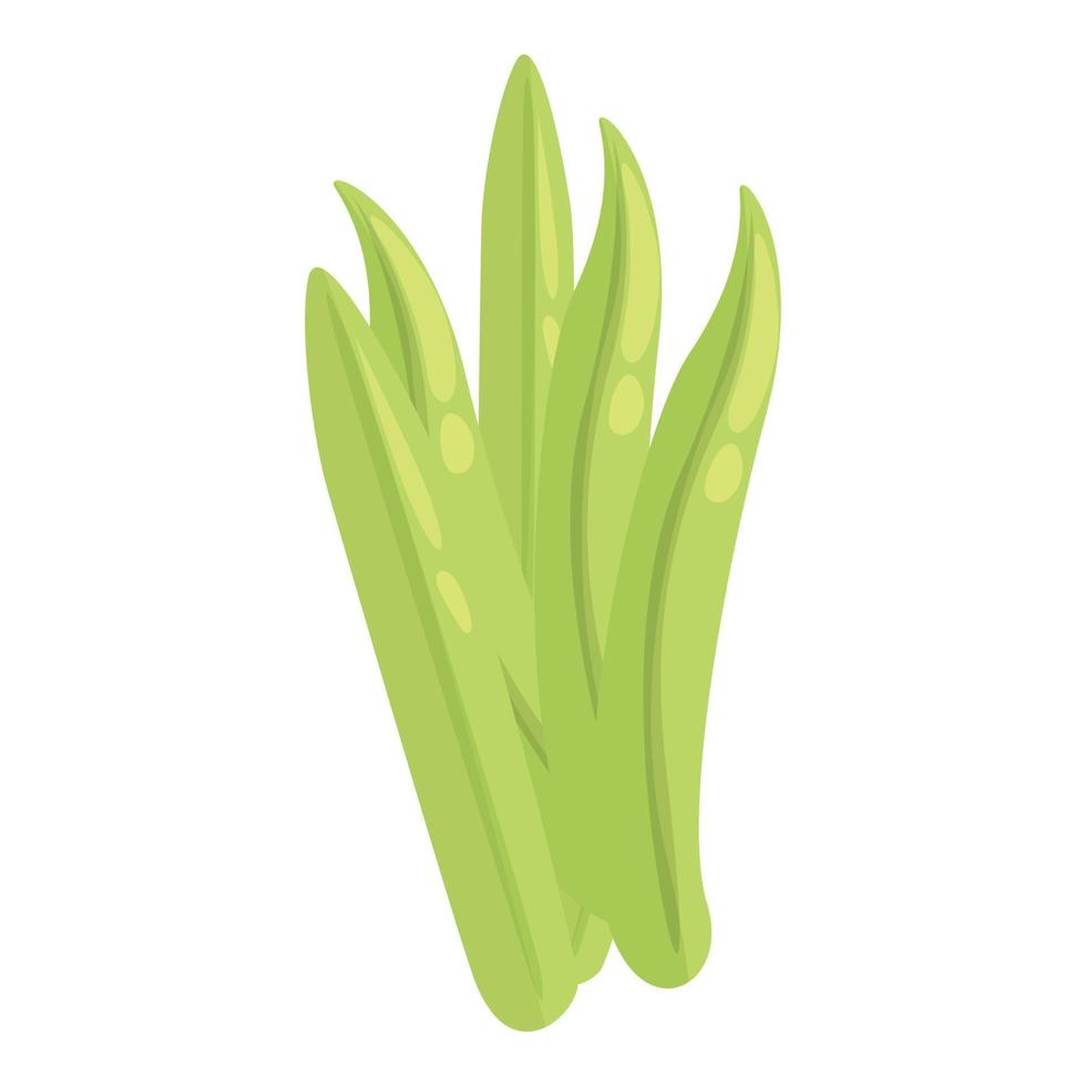 Herbal life icon cartoon vector. Dietary food vector