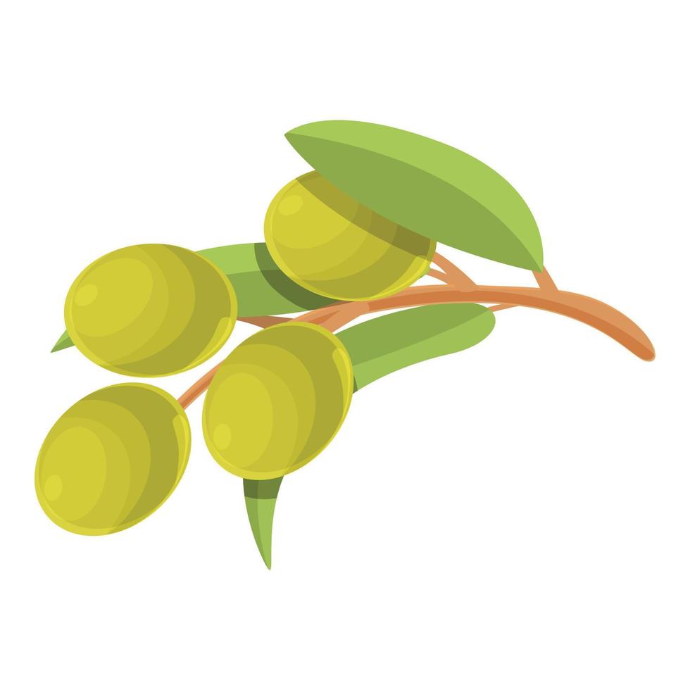 Green olives branch icon cartoon vector. Fruit vegetable vector