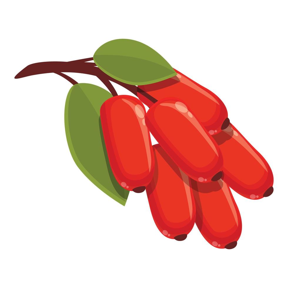 Eco barberry icon cartoon vector. Goji fruit vector