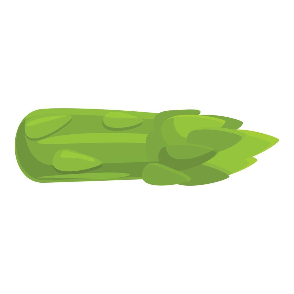 Harvest asparagus icon, cartoon style vector