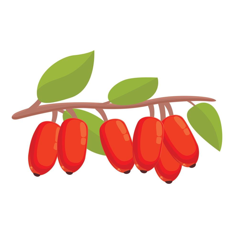 vector de dibujos animados de icono de agracejo. fruta goji