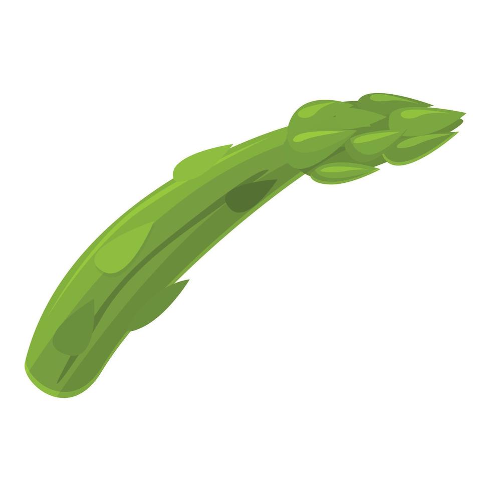 Natural asparagus icon, cartoon style vector