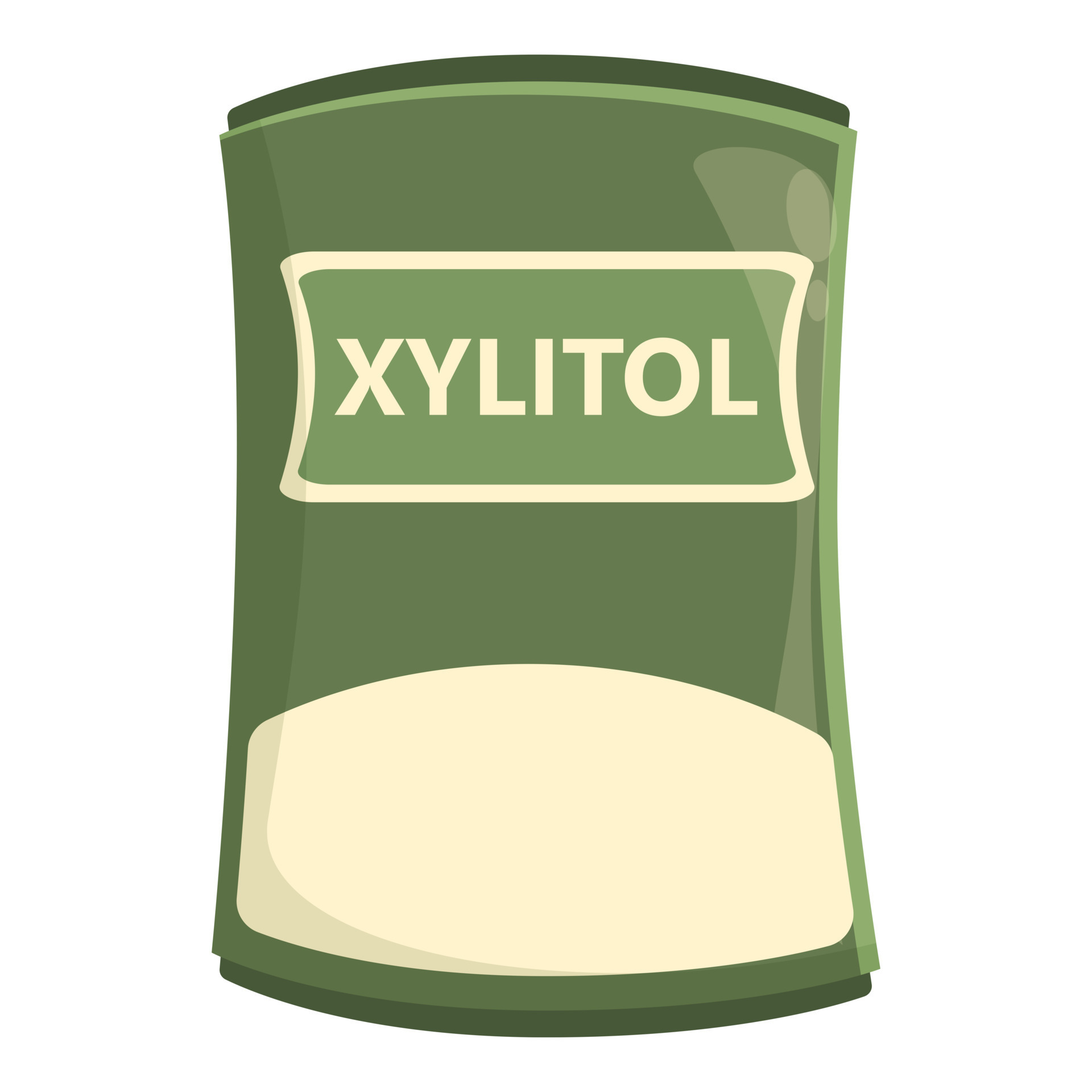 Stevia Vs. Xylitol: Is There Hidden Sugar? - r9n1nur
