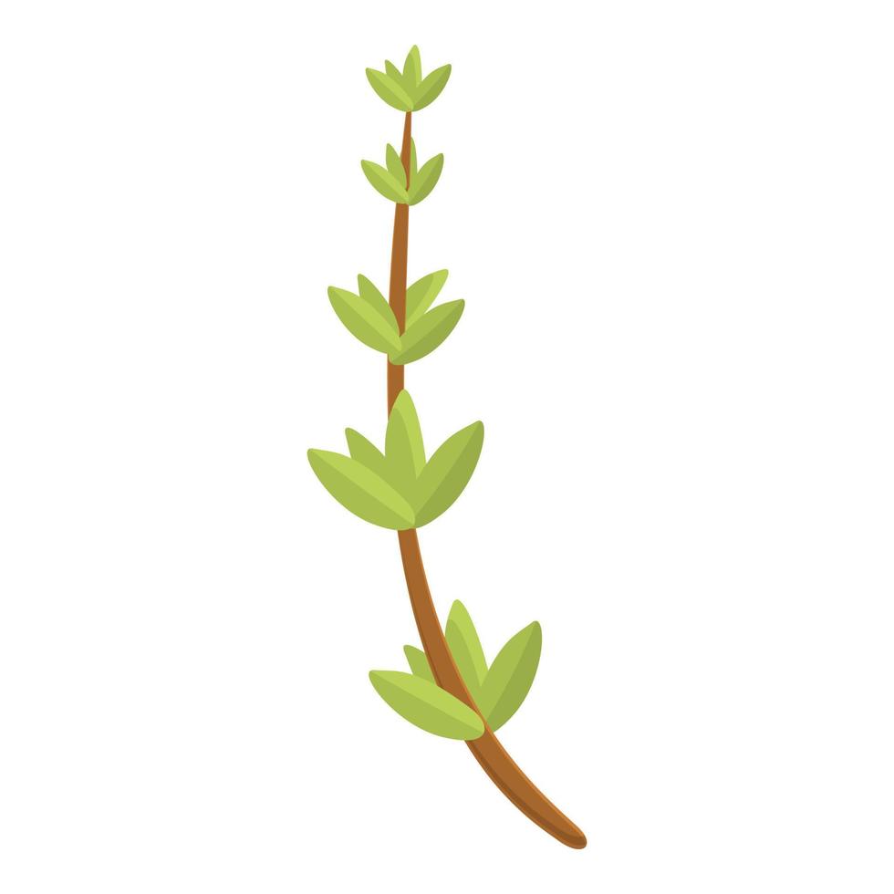 Thyme for food icon, cartoon style vector