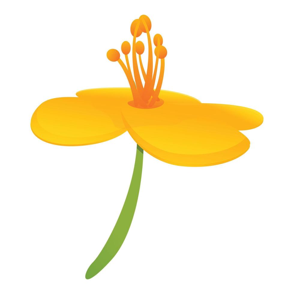 Celandine decorative flower icon, cartoon style vector