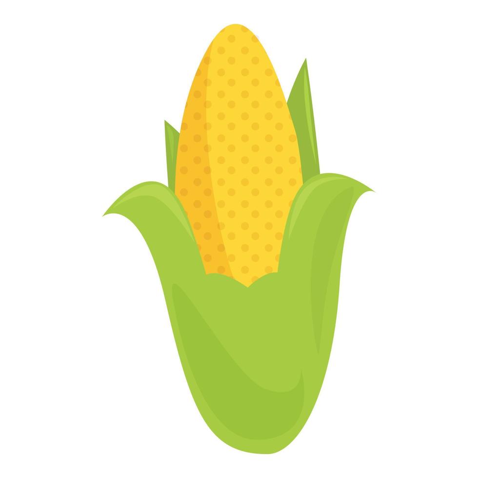 Corn lutein icon cartoon vector. Food diet vector