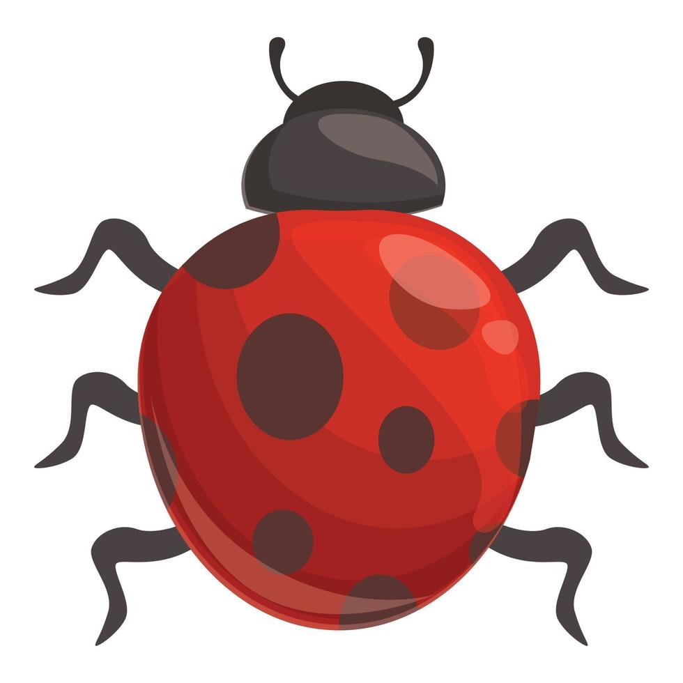 vector de dibujos animados de icono de mariquita de temporada. insecto mariquita