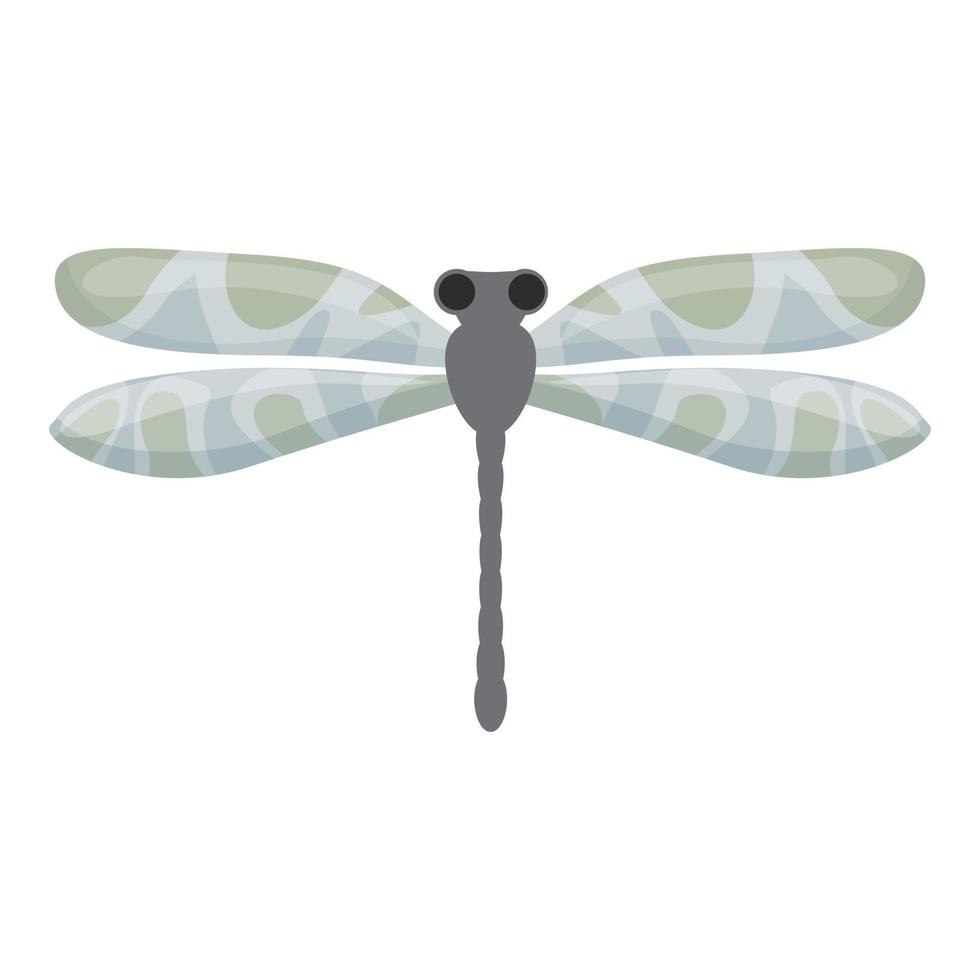 Grey dragonfly icon cartoon vector. Wing insect vector