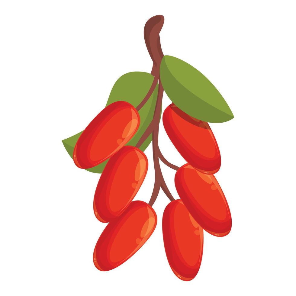 Barberry fruit icon cartoon vector. Goji berry vector