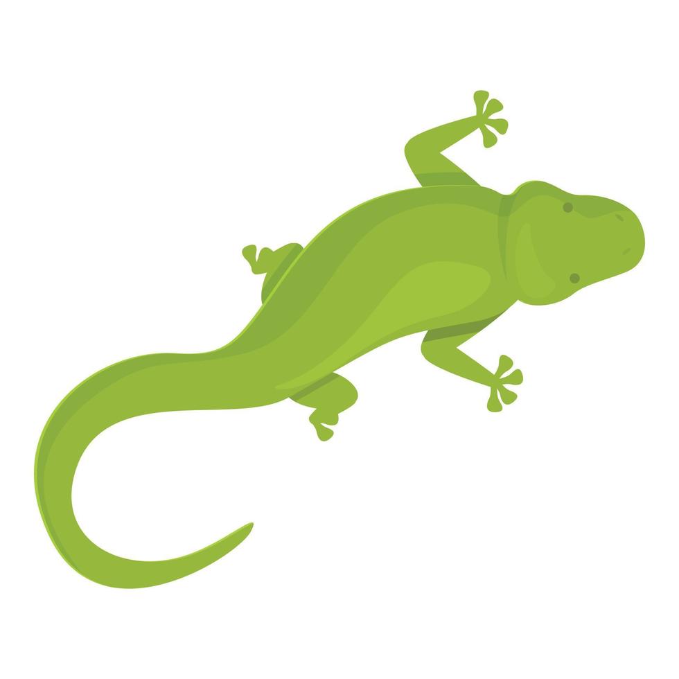 Iguana icon cartoon vector. Lizard animal vector