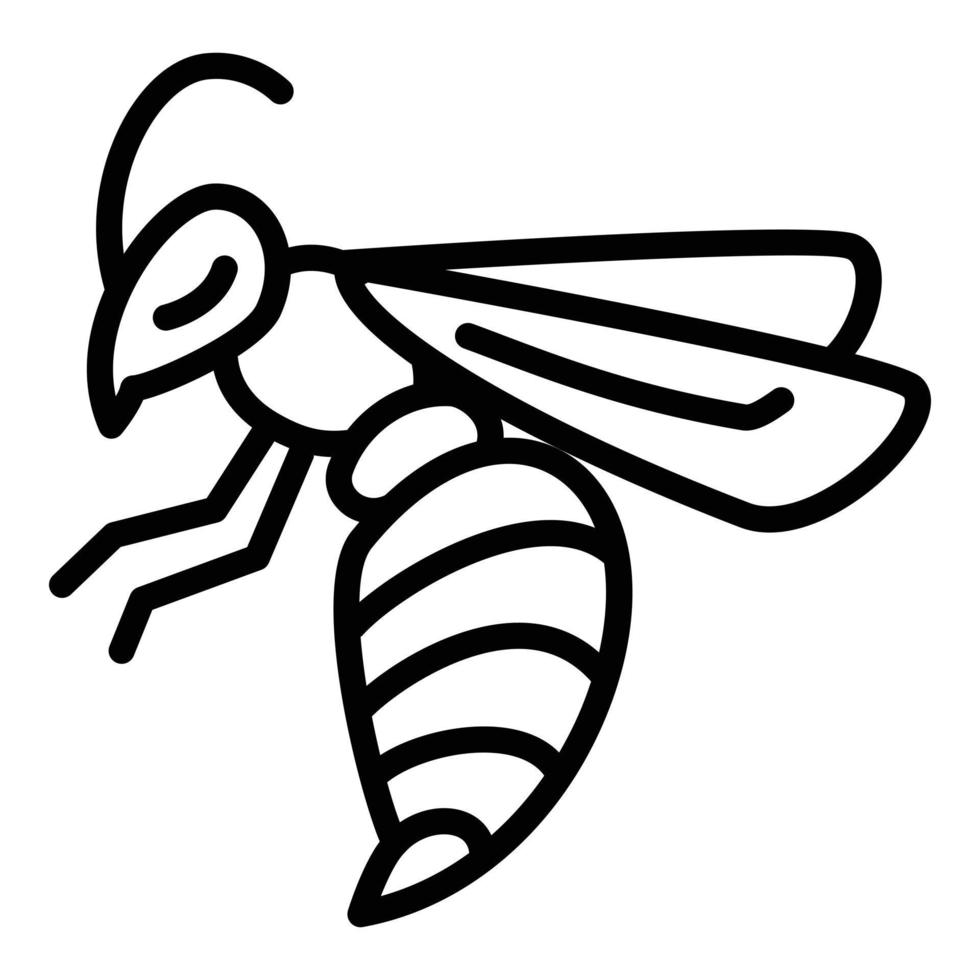 Wasp insect icon, outline style vector