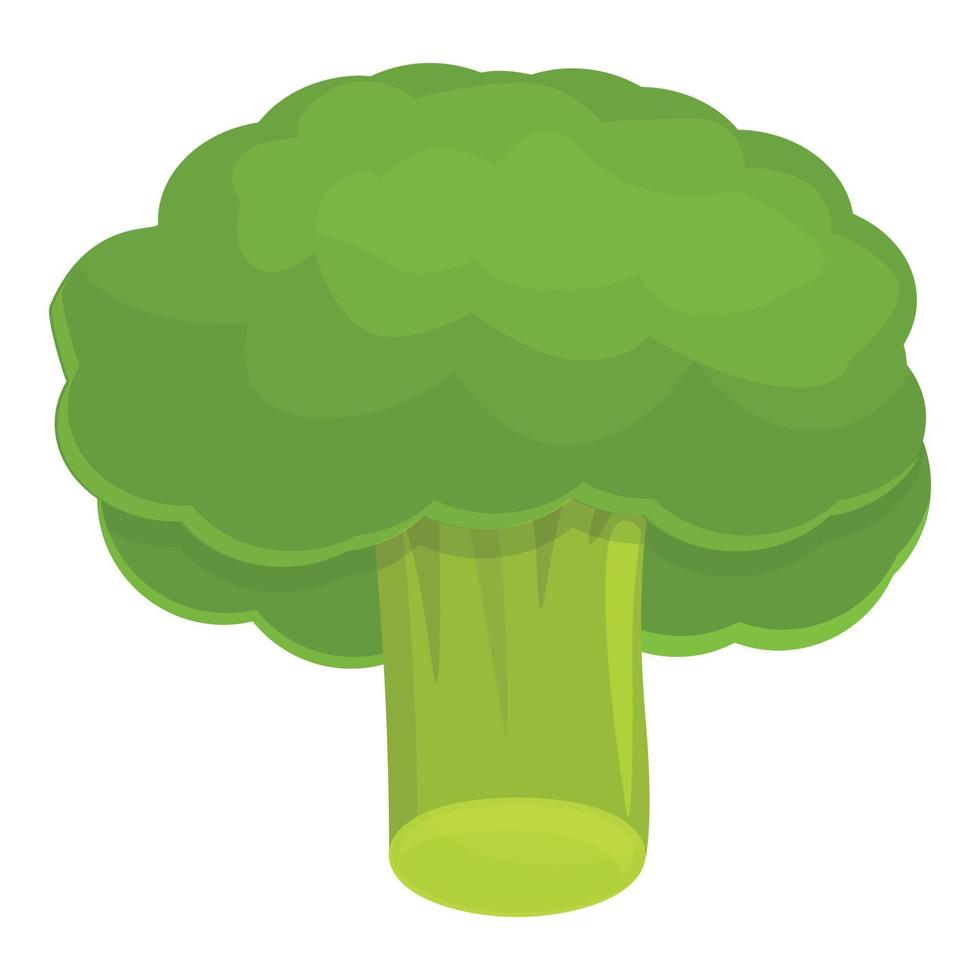 Salad broccoli icon, cartoon style vector