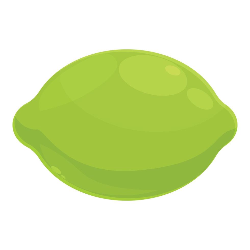 Whole green lime icon cartoon vector. Shot glass vector