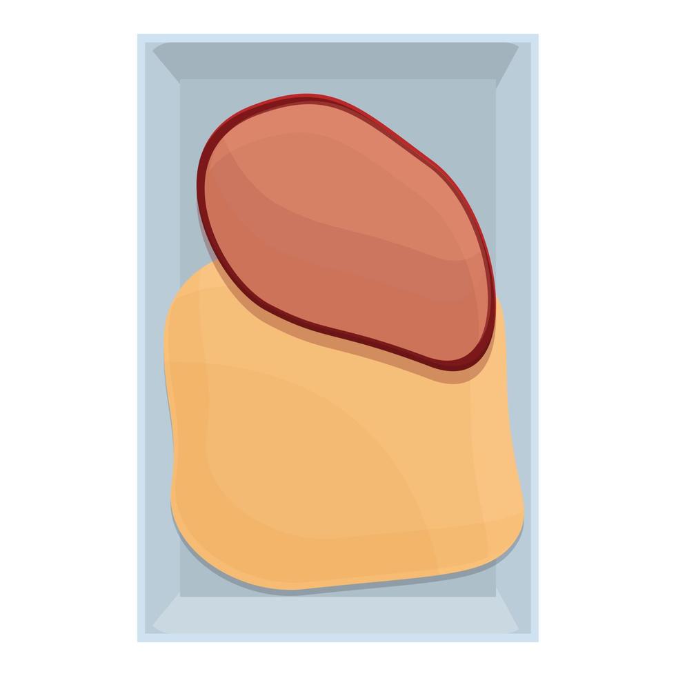 Fresh airline food icon, cartoon style vector