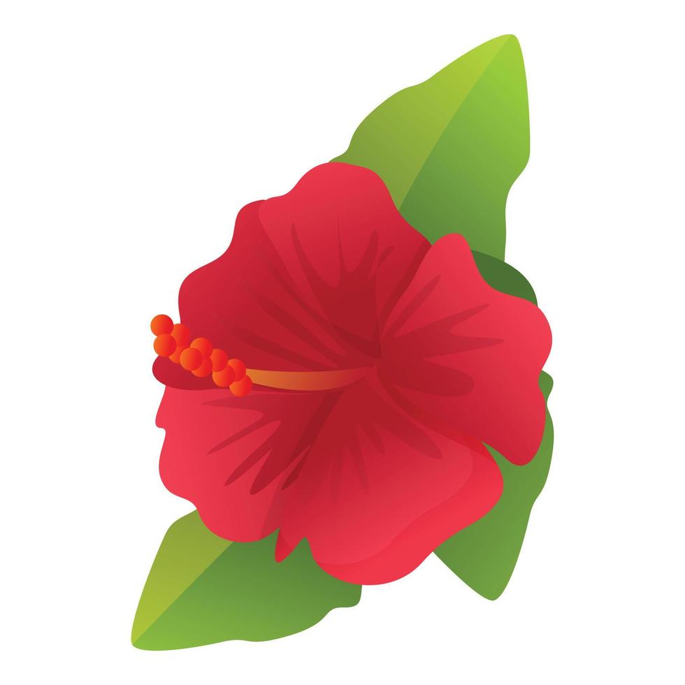 Plant hibiscus icon, cartoon style vector