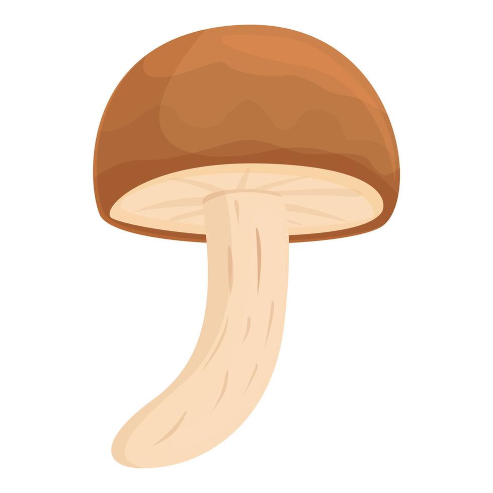 Porcini mushroom icon cartoon vector. Shiitake food vector