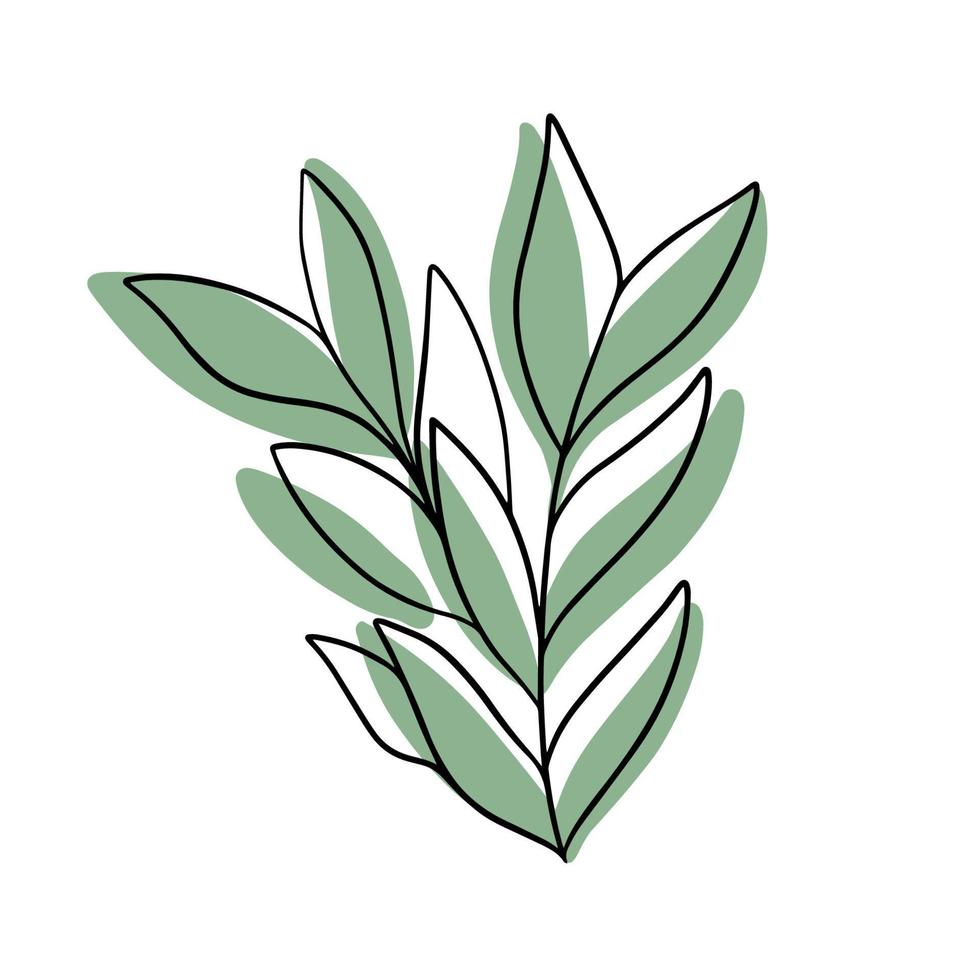 garabato, planta, con, mancha coloreada vector