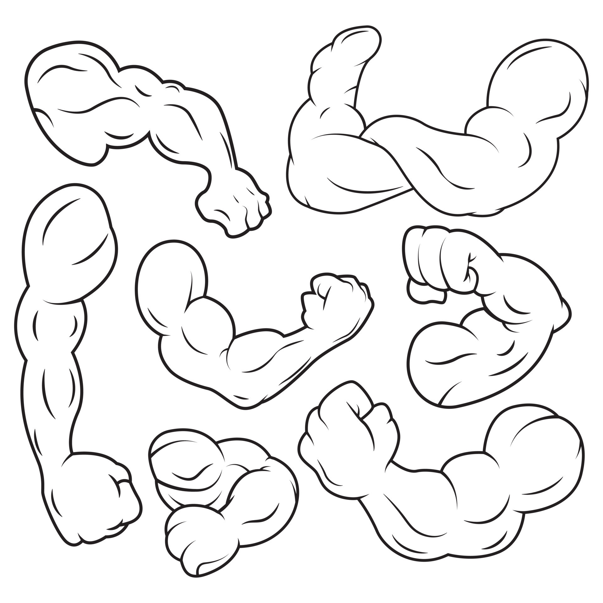 muscles arms down illustration download vector