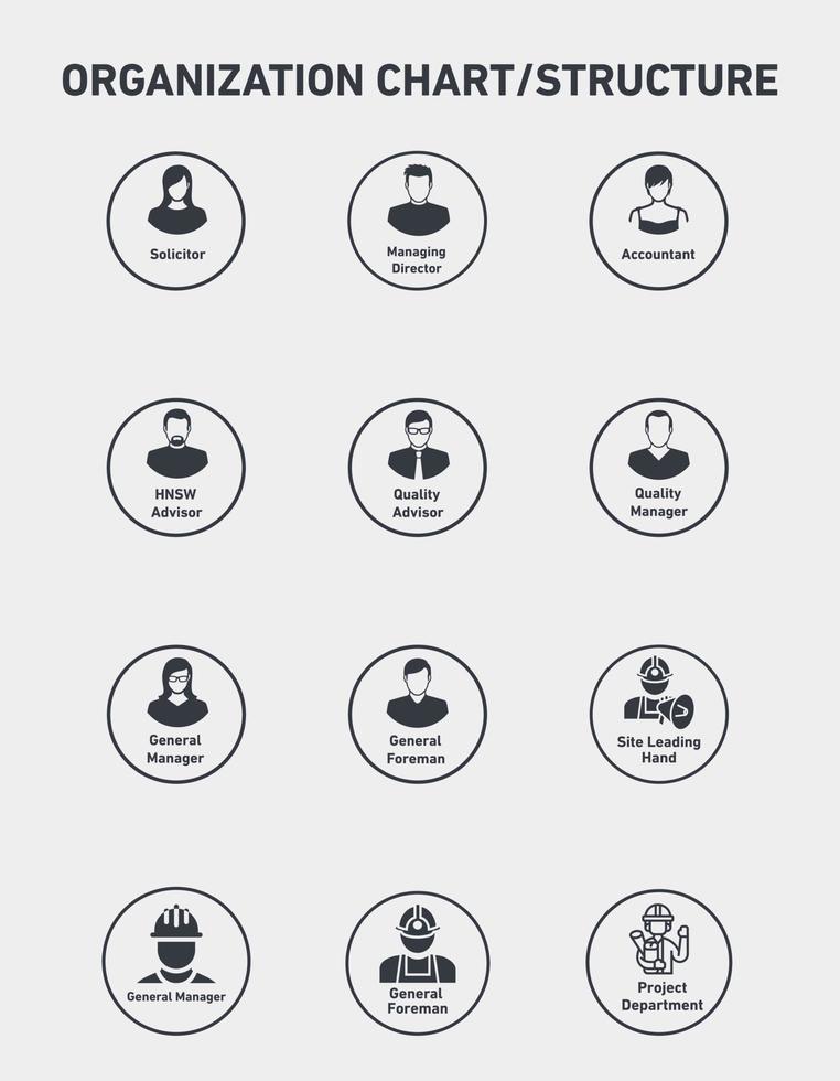 Organization chart and  structure vector illustration