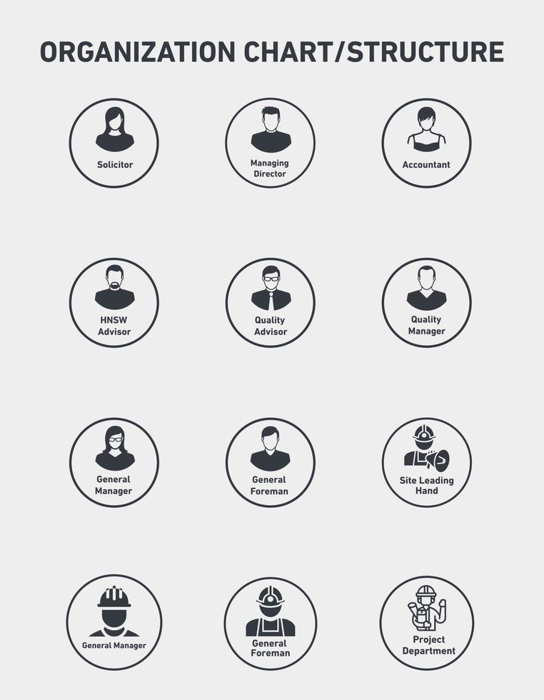 Organization chart and  structure vector illustration