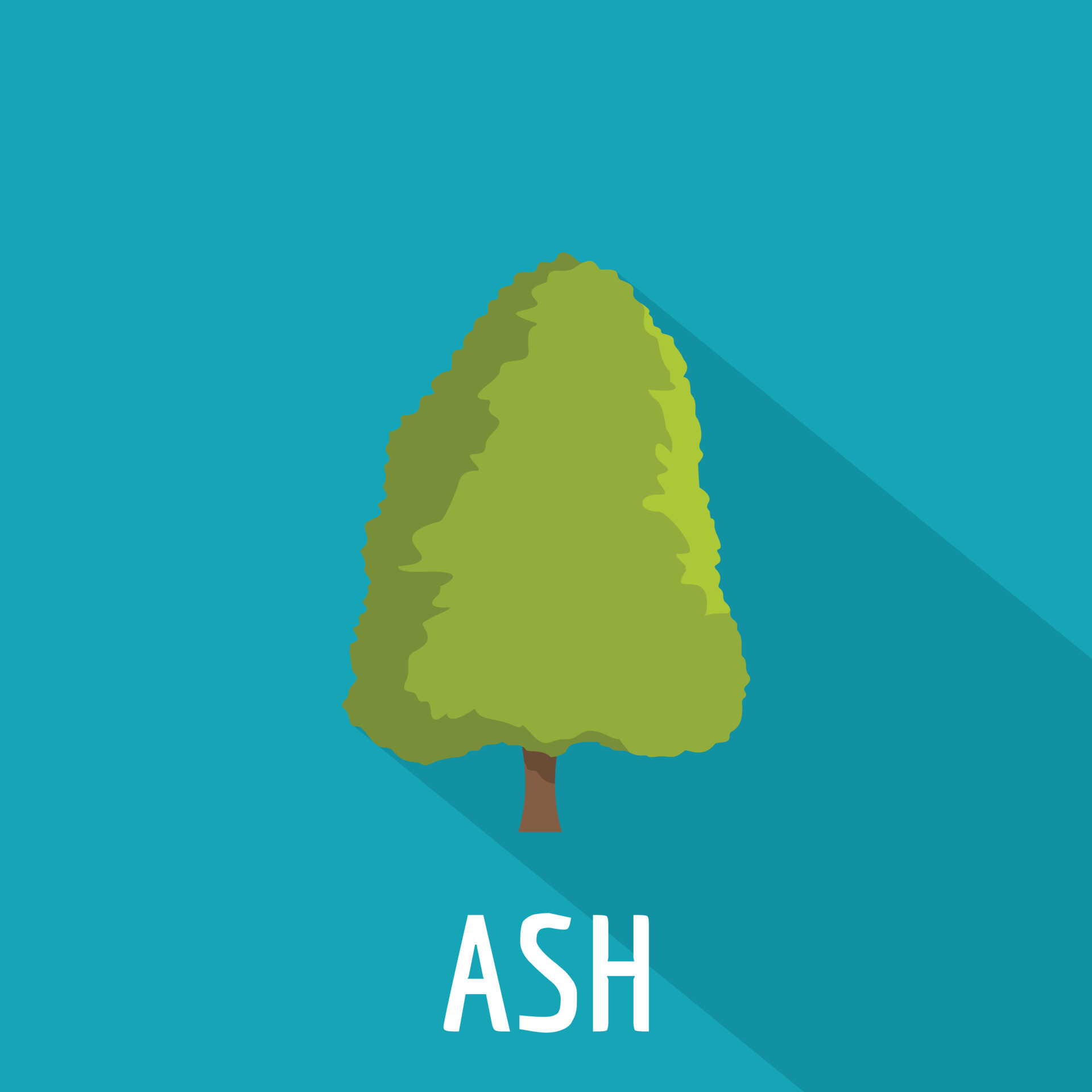 Ash tree icon, flat style 14312516 Vector Art at Vecteezy
