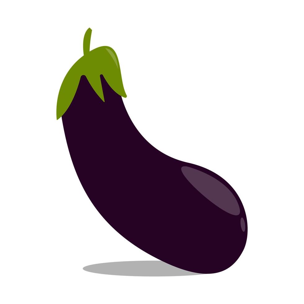 Eggplant ingredients for healthy cooking on white background. Vector illustration. EPS 10.