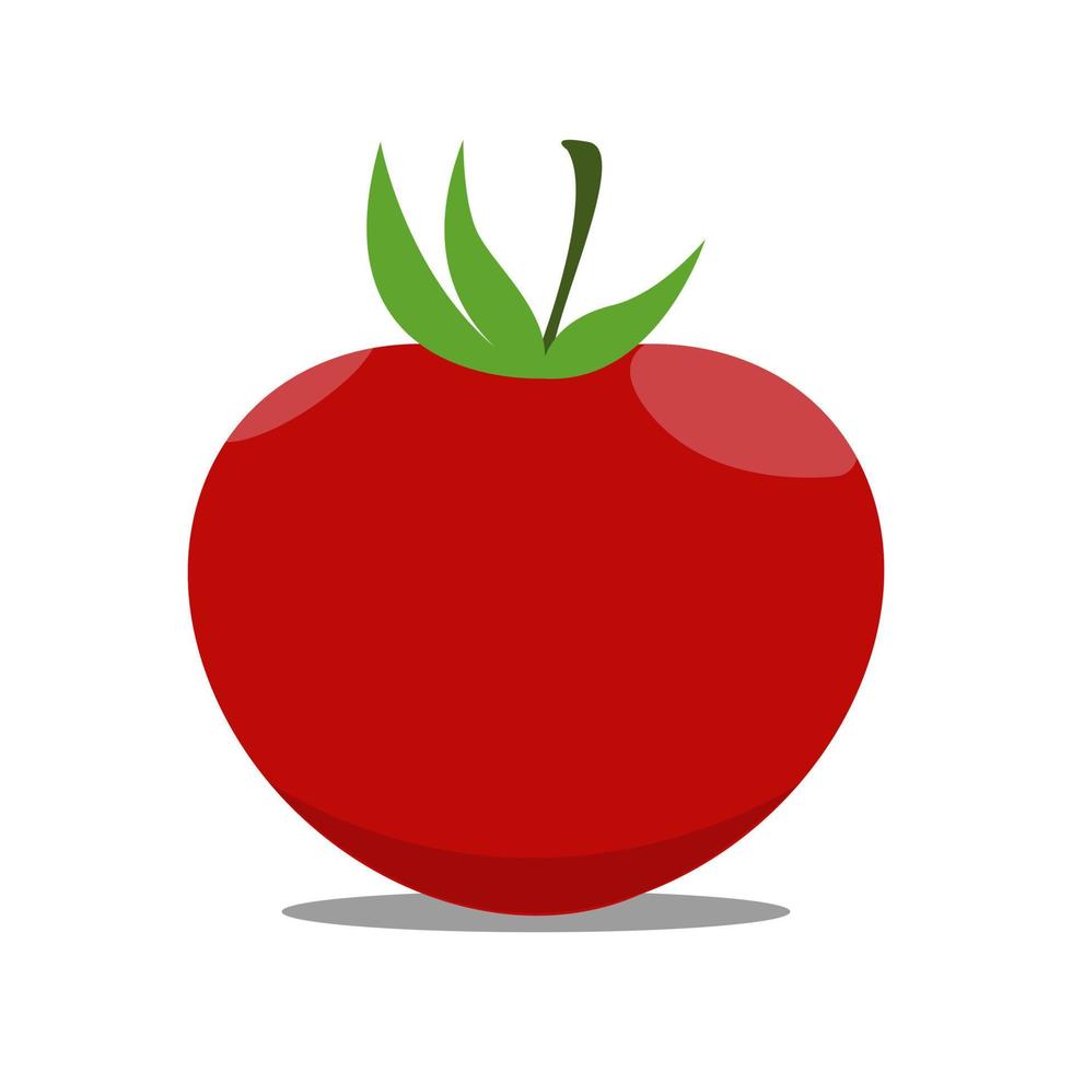 verduras de tomate frescas con sombra en diseño plano sobre fondo blanco. ilustración vectorial eps 10. vector