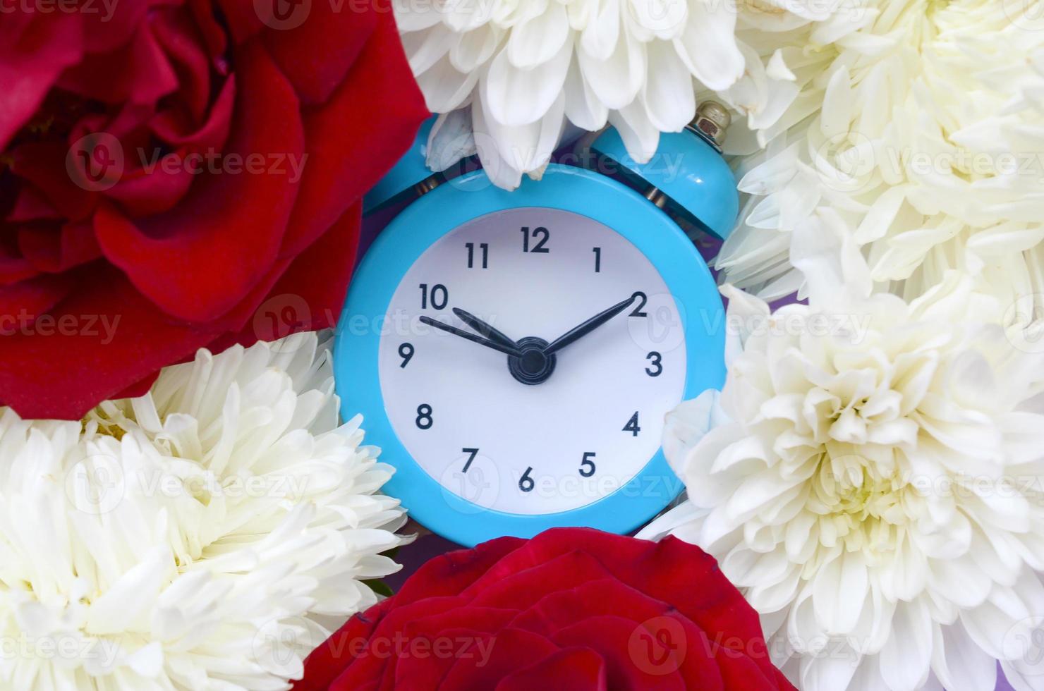 Little cute blue alarm clock surrounded by red roses and chrysanthemum heads photo