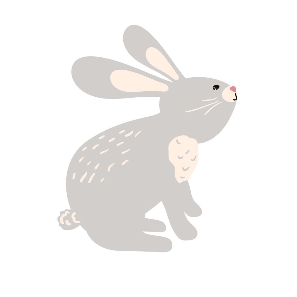 Hare or rabbit animal icon. Vector isolated zoology flat design of forest wild jackrabbit hare white and brown for wildlife fauna and nature zoo or open season hunting club or sport team badge