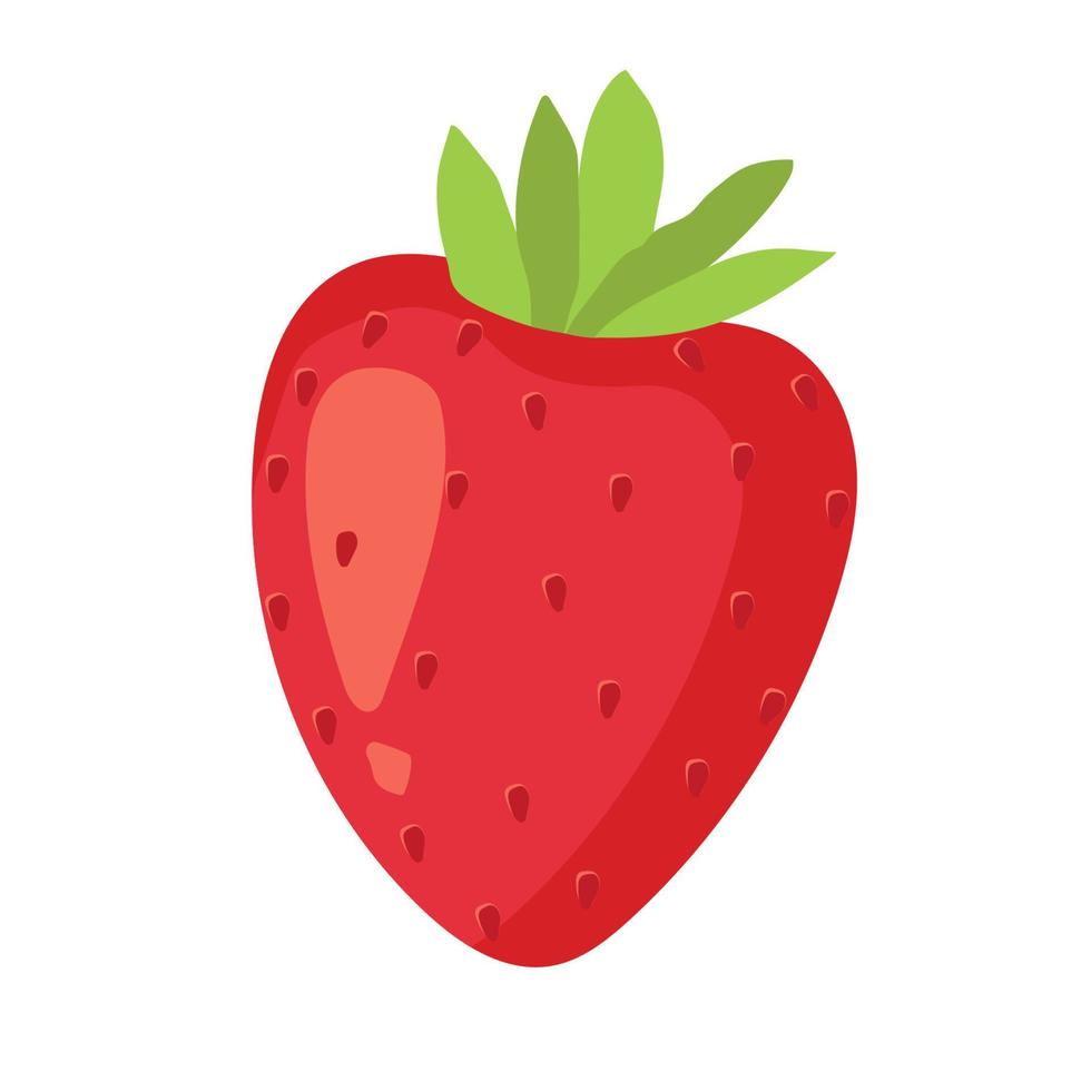 fresa fruta roja de verano, fondo blanco. ilustración gráfica vectorial. impresión de café vegetariano, afiche, tarjeta. natural, postre orgánico dulce, baya fresca, vector
