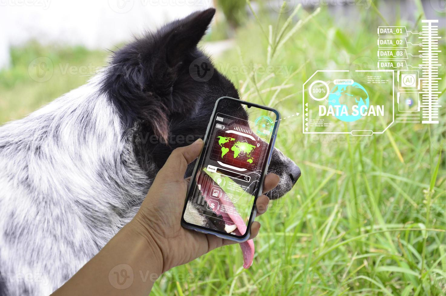 The concept of using artificial intelligence to find lost or lost pets. photo
