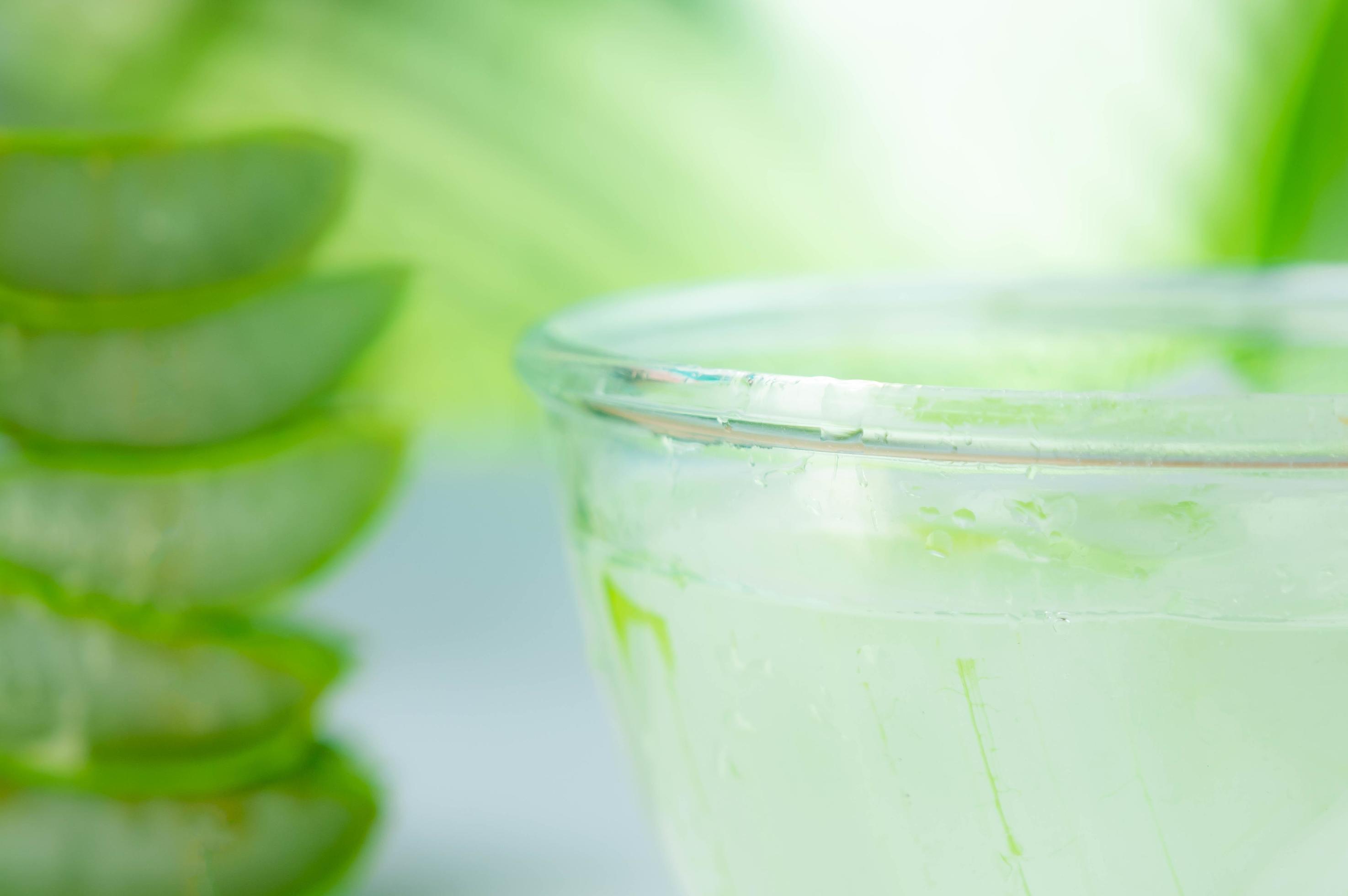 Fresh aloe vera juice in a glass bowl and sliced natural organic aloe ...