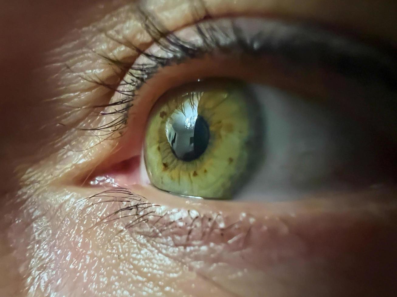 Close-up of human green eye. photo
