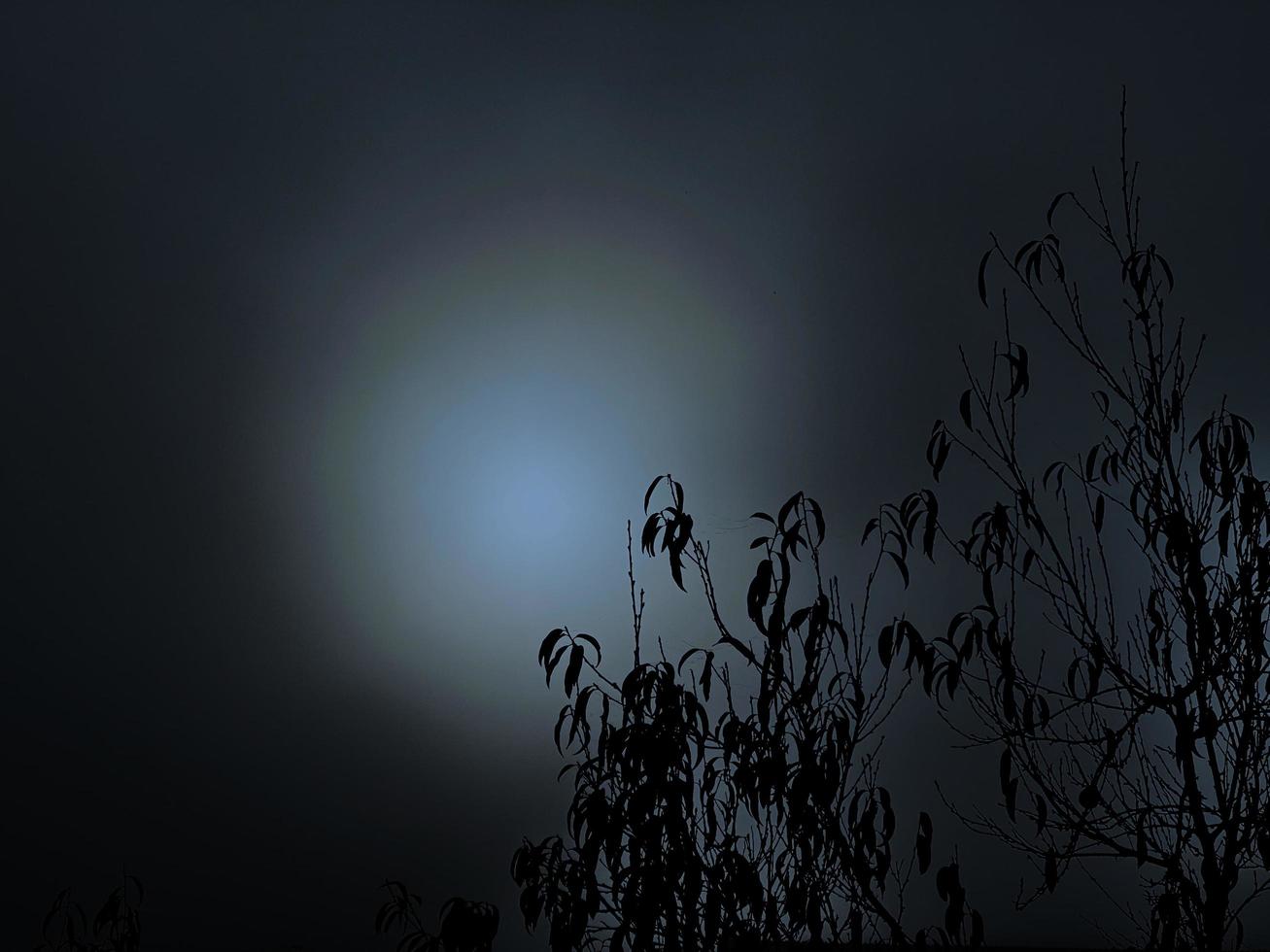 Spooky or eerie look, with fog or mist over moon. Soft focus night scene of full moon and bare tree branches, in hazy, cloudy sky. photo